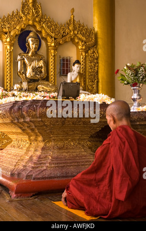 Stock Foto von einem Mönch im Gebet zur Shwedagon-Pagode in zentralen Yangon Myanmar Stockfoto
