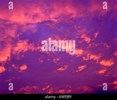 Rosa Wolken in ein Abendhimmel Stockfoto