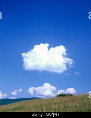 Cumulus-Wolke am blauen Himmel Stockfoto