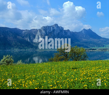 Mondsee (Moon Lake) und Mt. Drachenwand in Frühling, Oberösterreich, Österreich, Europa Stockfoto