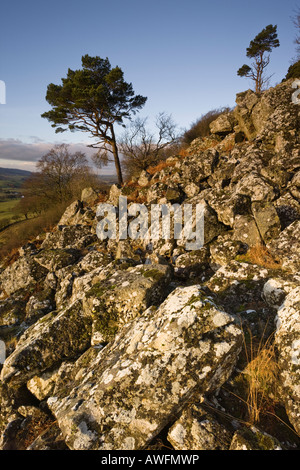 Loudoun HIll, einem vulkanischen Stecker in Ayrshire, Schottland, die Website von mehreren wichtigen historischen Schlachten Stockfoto