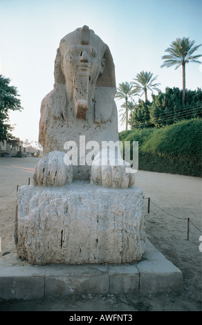 Alabaster Sphinx Memphis in der Nähe von Kairo Stockfoto