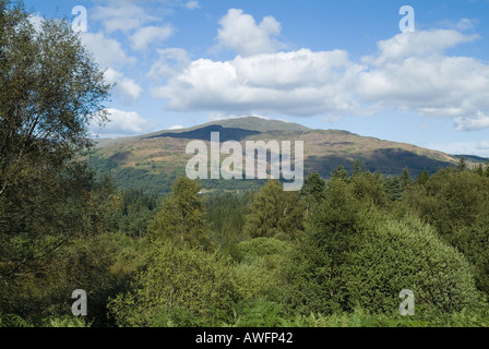 dh Queen Elizabeth Forest Park ACHRAY FOREST STIRLINGSHIRE Ben Ledi scotland trossachs Bergforstlandschaft Stockfoto