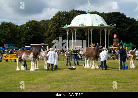 dh DUTHIE PARK ABERDEEN Judge Zuschauer, die Clydesdale Pferde bei Clydesdales Schaupferd, das Schottland zeigt, betrachten Stockfoto