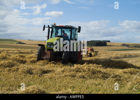 dh Trocknung Ackerland Felder TODHEAD POINT KINCARDINESHIRE Traktor Streuung Gerste großbritannien Feldernte Ernte Landwirtschaft grüne Traktoren Ernte in schottland Stockfoto