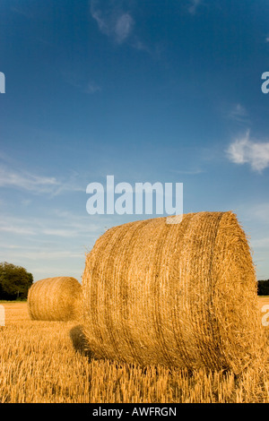 Strohballen bereit für den Landwirt zu sammeln, nachdem die Ernte wurde. Stockfoto