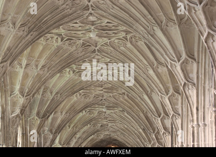 Detail des gotischen Ventilators gewölbte Decke in den Kreuzgängen der Gloucester cathedral Stockfoto