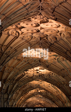 Detail des gotischen Ventilators gewölbte Decke in den Kreuzgängen der Gloucester cathedral Stockfoto