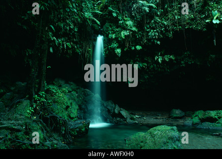 Wasserfall bei Emerald Pool, Morne Trois Pitons National Park, Commonwealth of Dominica. Stockfoto