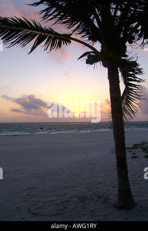 Sonnenuntergang am Strand von Tulum, Yucatan, Mexiko Stockfoto