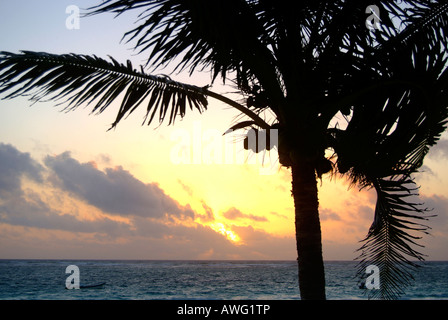 Sonnenuntergang am Strand von Tulum, Yucatan, Mexiko Stockfoto