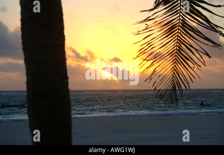 Sonnenuntergang am Strand von Tulum, Yucatan, Mexiko Stockfoto