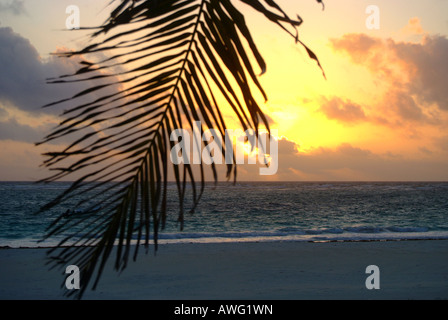 Sonnenuntergang am Strand von Tulum, Yucatan, Mexiko Stockfoto