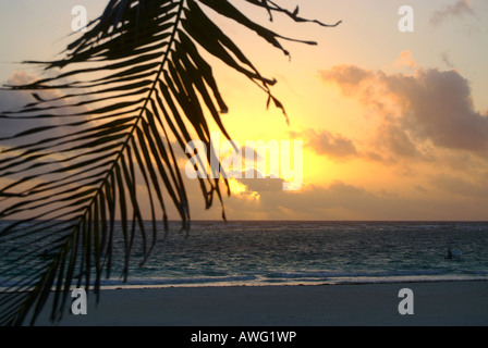 Sonnenuntergang am Strand von Tulum, Yucatan, Mexiko Stockfoto