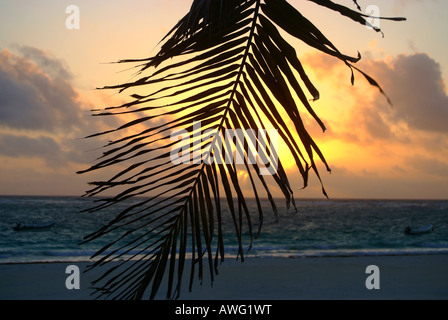 Sonnenuntergang am Strand von Tulum, Yucatan, Mexiko Stockfoto