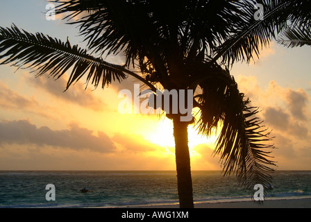 Sonnenuntergang am Strand von Tulum, Yucatan, Mexiko Stockfoto