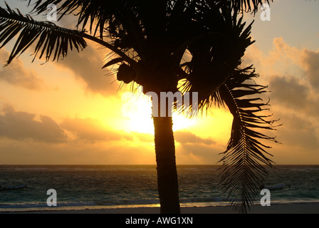 Sonnenuntergang am Strand von Tulum, Yucatan, Mexiko Stockfoto