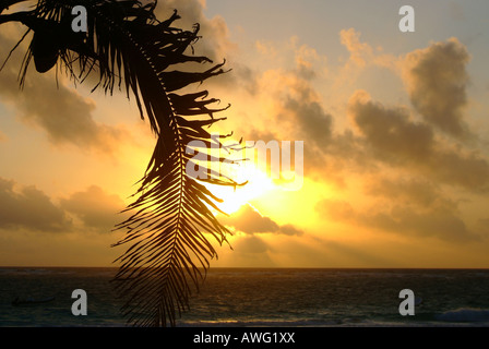 Sonnenuntergang am Strand von Tulum, Yucatan, Mexiko Stockfoto