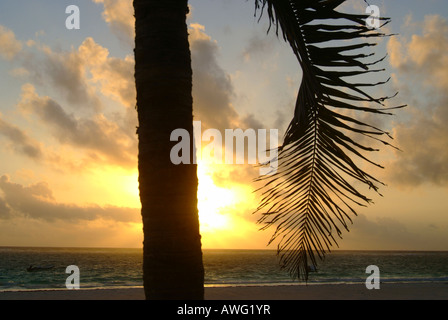 Sonnenuntergang am Strand von Tulum, Yucatan, Mexiko Stockfoto