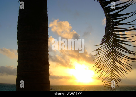 Sonnenuntergang am Strand von Tulum, Yucatan, Mexiko Stockfoto