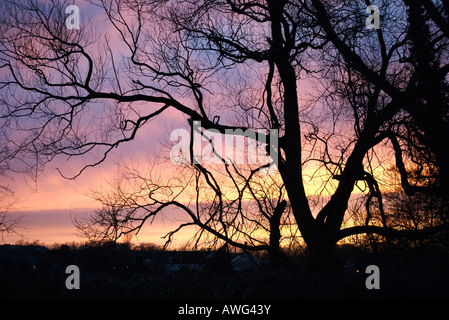 Cool Sonnenuntergang schöne Frühlingslandschaft Stockfoto