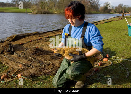 Fisch-Netting Ver Seen St Albans City Flusspark Herts UK Winter Stockfoto