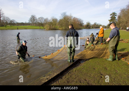 Fisch-Netting Ver Seen St Albans City Flusspark Herts UK Winter Stockfoto