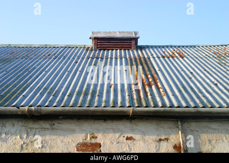 Wellblech-Dach auf landwirtschaftliches Gebäude Stockfoto