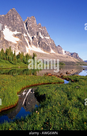 Die Wälle Tonquin Valley Jasper Nationalpark Alberta Kanada Stockfoto