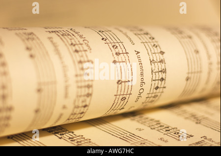 CLOSE UP STUDIOAUFNAHME VON NOTEN Stockfoto