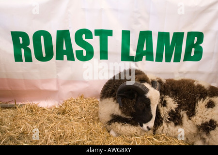 Jakob-Schaf mit gebratenem Lamm banner Stockfoto