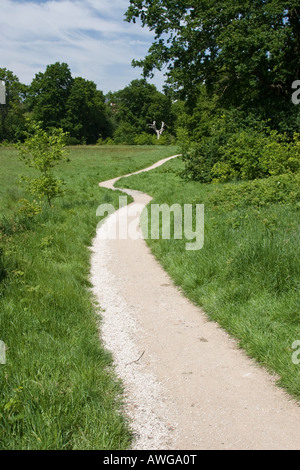 Kurvige Weg durchschneidet den Rasen des Dunorlan Park Royal Tunbridge Wells. Stockfoto