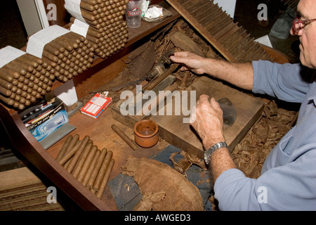 Herstellung von Vargas Zigarren La Palma-Kanarische Inseln-Spanien-Europa Stockfoto