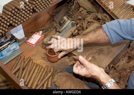 Herstellung von Vargas Zigarren La Palma-Kanarische Inseln-Spanien-Europa Stockfoto