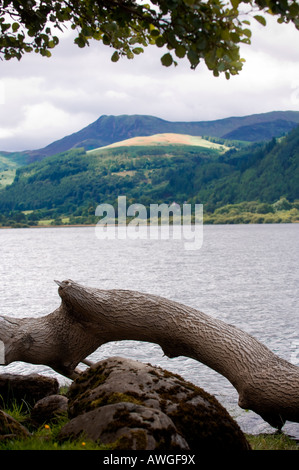 Bassenthwaite Lake Lake District Cumbria UK Stockfoto