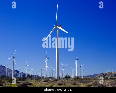 Eine Windmühle-Farm in der Wüste in der Nähe von Palm Springs Kalifornien Stockfoto