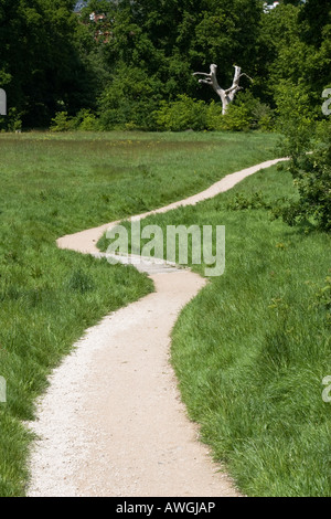 Kurvige Weg durchschneidet den Rasen des Dunorlan Park Royal Tunbridge Wells. Stockfoto