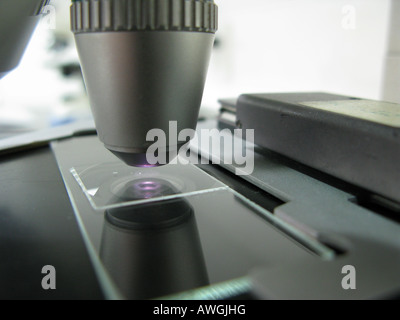 Nahaufnahme eines Objetive Mikroskops mit Rutsche im Forschungslabor Stockfoto
