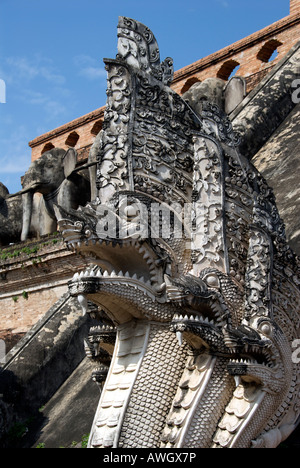 Naga Wächter Wat Chedi Luang Chiang Mai Stockfoto
