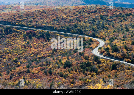 Kurvenreiche Straße in Mesa Verde Nationalpark. Stockfoto