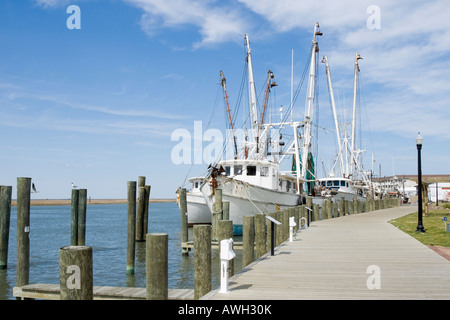 Angelboote/Fischerboote angedockt an der Pier unter sonnigen blauen Himmel, weiße Masten in der Luft, Chincoteague, Virginia, VA, USA, Amerika. Stockfoto