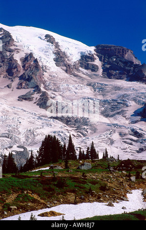 USA, Pacific Northwest, Washington State, Mount Rainier Nationalpark, Nisqually Glacier, gesehen aus dem Paradies Stockfoto