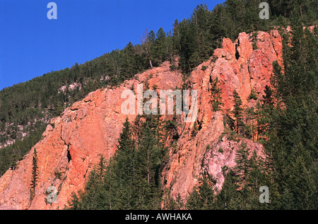 Kanada Pacific Northwest British Columbia Kootenay National Park Sinclair Canyon Kiefer Bäume rot Kalkstein Schlucht steilen Felswand Stockfoto