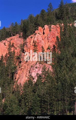 Kanada Pacific Northwest British Columbia Kootenay National Park, Sinclair Canyon Kiefern wachsen steilen roten Kalkstein-Schlucht Stockfoto