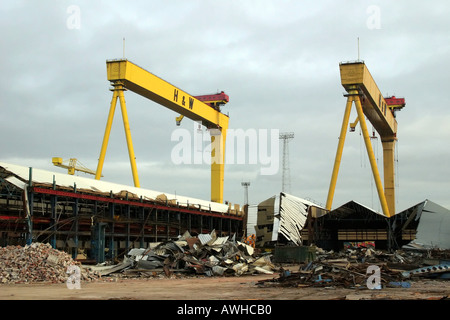 Samson und Goliath Krane in die alte Werft Harland &amp; Wolff, während Bauruinen Abriss unterziehen Stockfoto