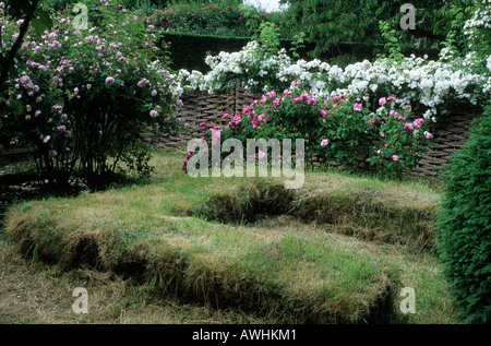 Turf Sitzplätze Rose Garten mittelalterlichen Stil Mannington Hall Norfolk Flechtwerk Zaun Stockfoto