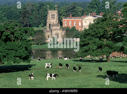 Feld & Herde friesische Kühe weiden landwirtschaftlichen Landschaft rund um ländliche Staunton Harold Hall & Holy Trinity Chapel Leicestershire England UK Stockfoto