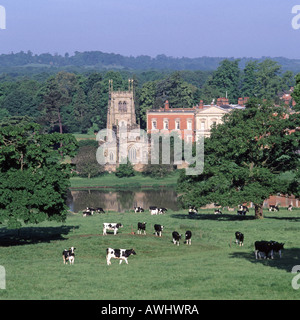 Feld & Herde friesische Kühe weiden landwirtschaftlichen Landschaft rund um ländliche Staunton Harold Hall & Holy Trinity Chapel Leicestershire England UK Stockfoto