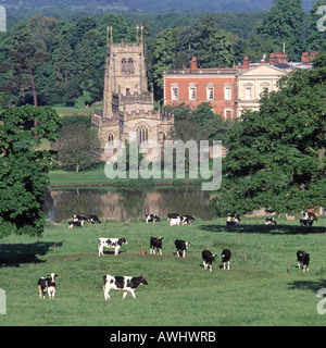 Feld & Herde friesische Kühe weiden landwirtschaftlichen Landschaft rund um ländliche Staunton Harold Hall & Holy Trinity Chapel Leicestershire England UK Stockfoto