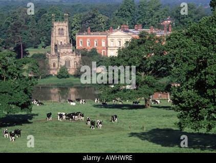 Feld & Herde friesische Kühe weiden landwirtschaftlichen Landschaft rund um ländliche Staunton Harold Hall & Holy Trinity Chapel Leicestershire England UK Stockfoto